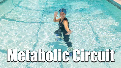Metabolic Circuit